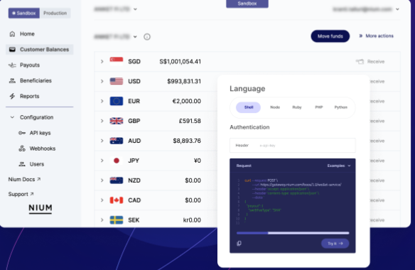 screenshot of Nium Multi Currency Accounts